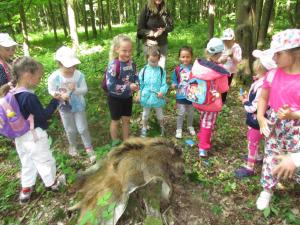 Lesní pedagogika VLS - 15.6.2021 1